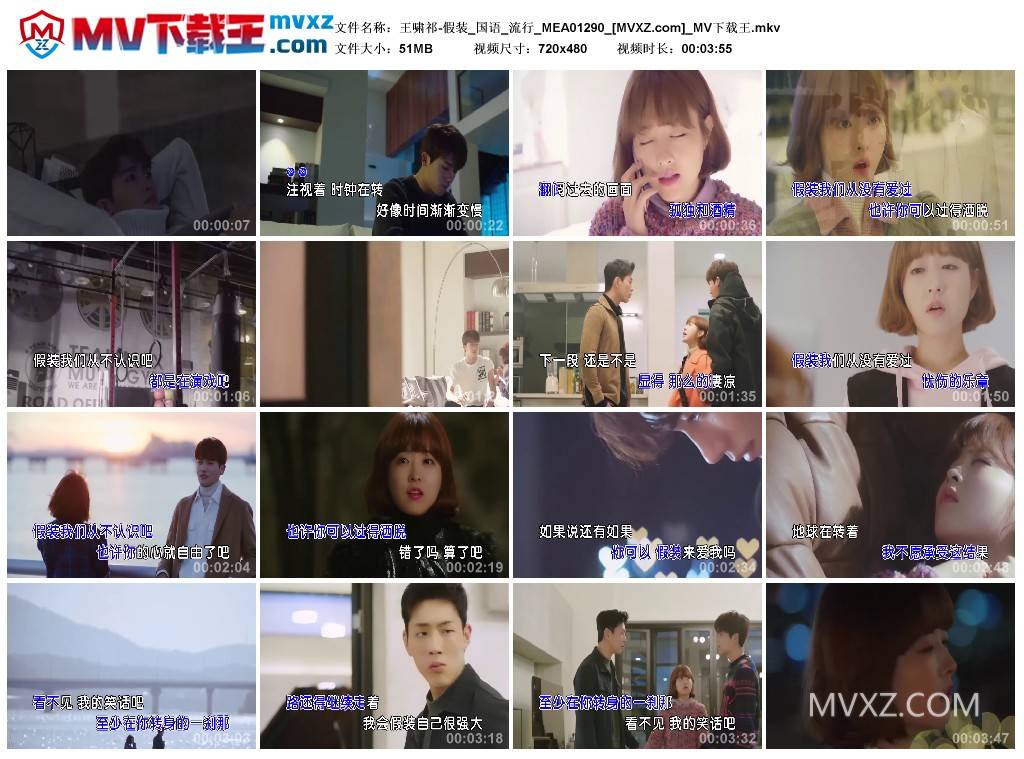 王啸祁-假装_国语_流行_MEA01290